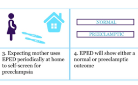 Makerere University - The EPED strip  (Early Preeclampsia  Detection Strip) and the strip components