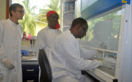 Dr Togun working in the lab - Photo credit - Ms Marie Gomez-Mendy