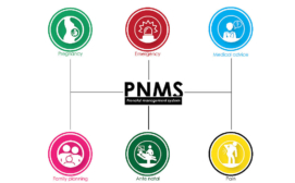 Graphics for Pre-natal Management System designed by Y'G Cameroon