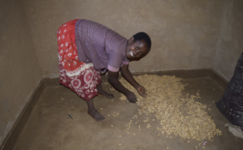 This woman has seen a reduction in crop loss due to contamination since building an EarthEnable floor