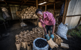 A Sanivation employee packages charcoal briquettes made from treated feces from Naivasha